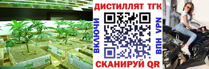 Дистиллят ТГК Wax  купить наркотик  Пошехонье 