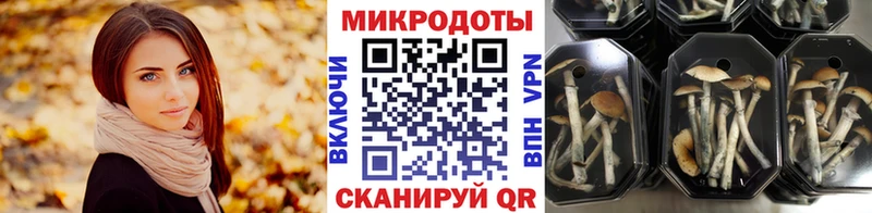 Галлюциногенные грибы прущие грибы  наркота  Пошехонье 